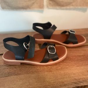Everlane Black Sandals